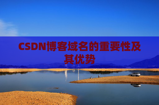 CSDN博客域名的重要性及其优势